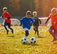 亚历山大亲,述全明星荣,耀时刻,欧博官网,欧博体育APP,oubo,Abg,欧博平台